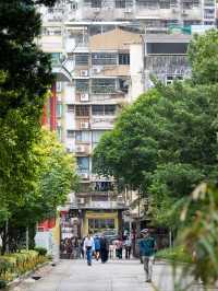 香港出發至澳門二龍喉公園跨境交通攻略 