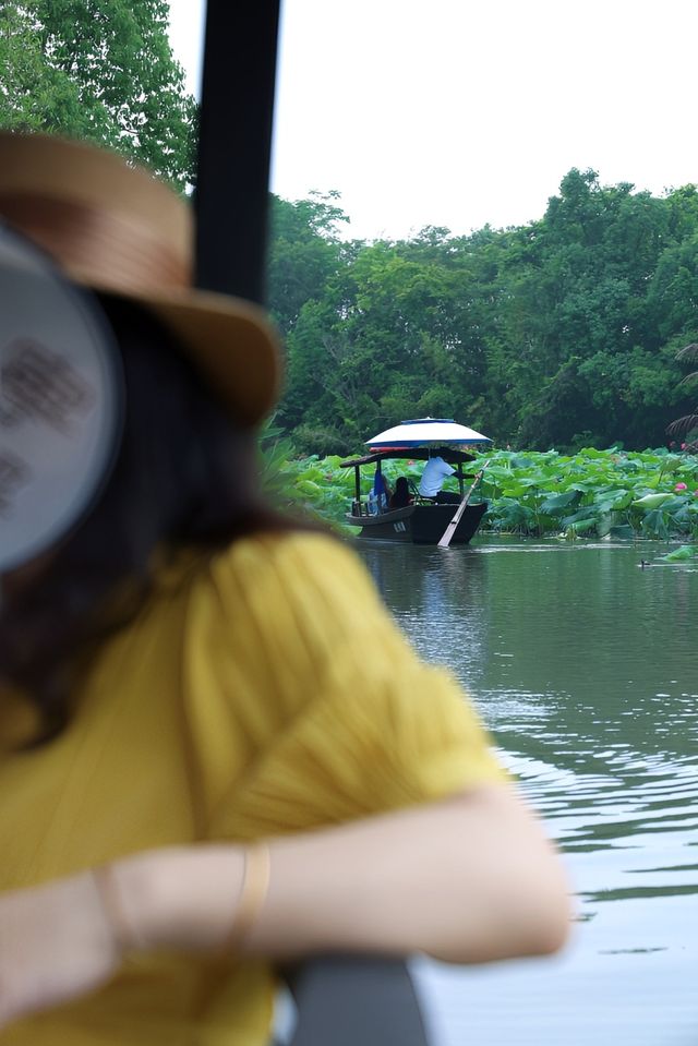 搖櫓船賞荷🪷江南初夏嘅頂級浪漫！