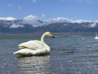 Not many people have been to these beautiful places in Xinjiang