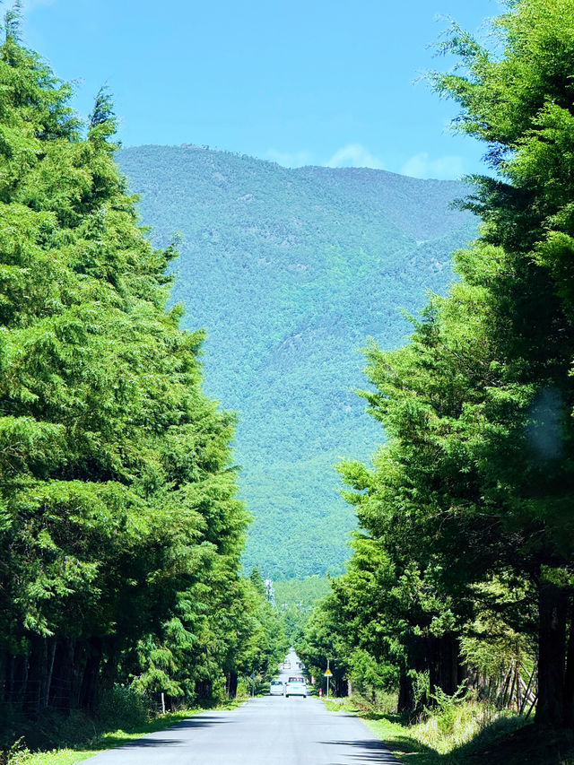 各位朋友，麗江旅遊住宿選佢就啱啦！