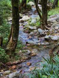 Jinhua Summer Resort