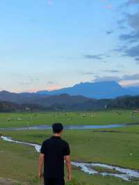 專屬22℃夏日嘅村落‖放慢腳步感受山水禪意～