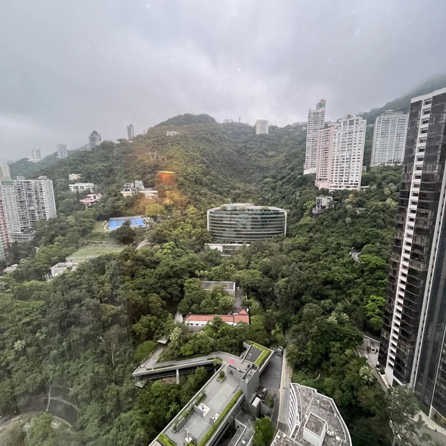 親子出遊必選！香港港麗酒店玩到盡興👨👩👧👦