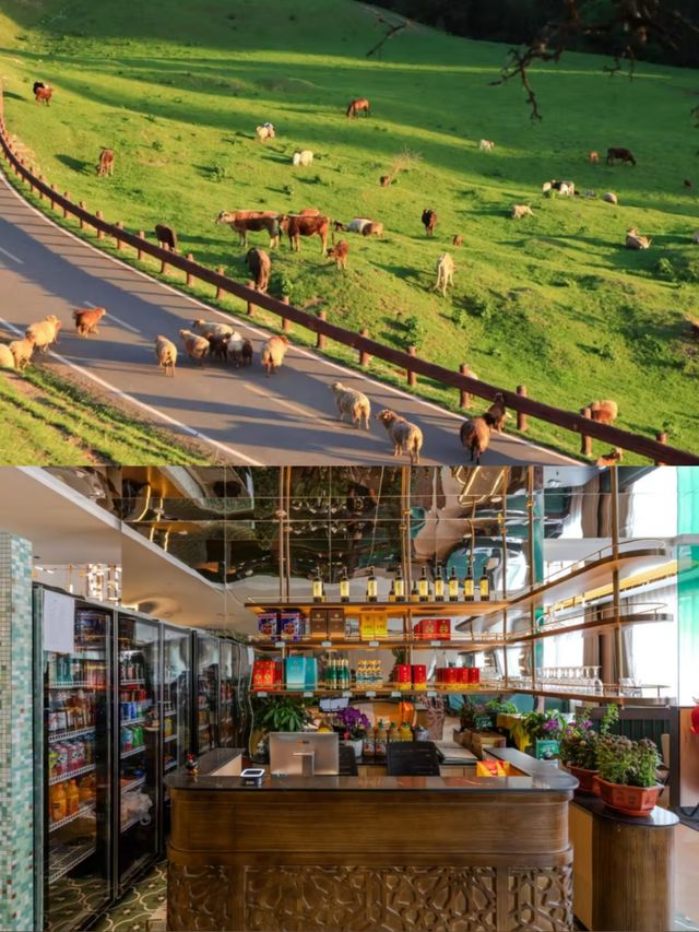 各位朋友，去那拉提旅行，一定要住呢間新開嘅麗思鉑悅酒店