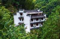 茶園村：隱於金華嘅山水詩境