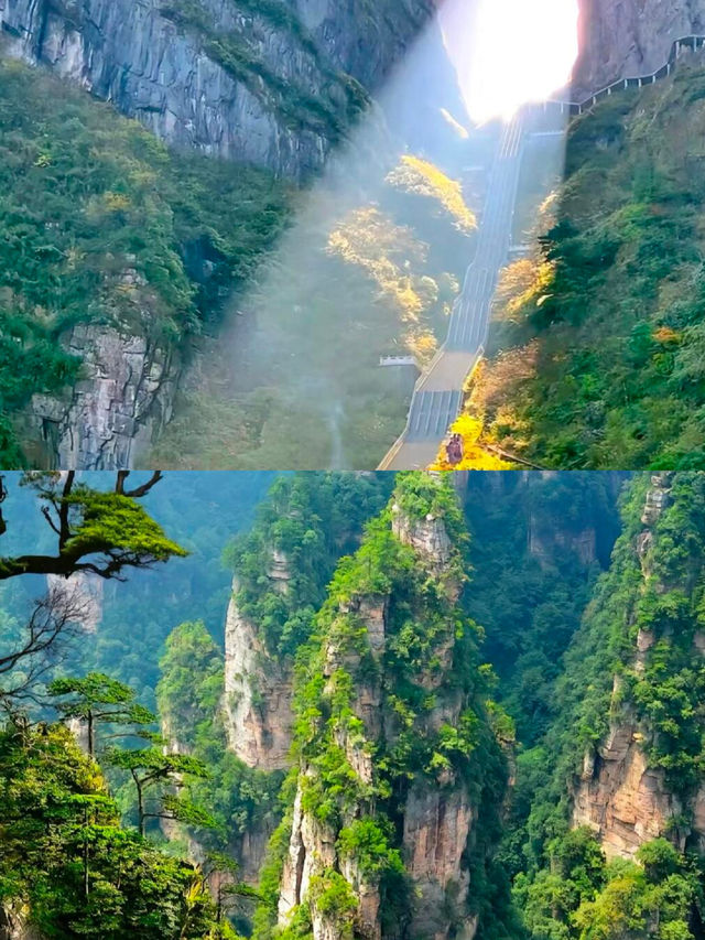 天門山雲海奇觀！張家界必打卡嘅仙境之旅