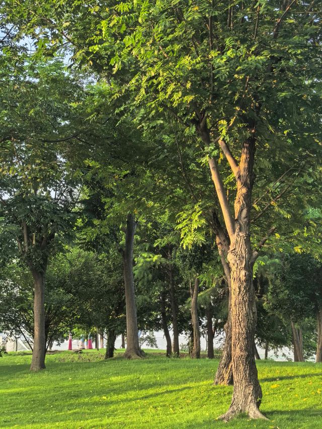 盛夏光年．邂逅花園酒店