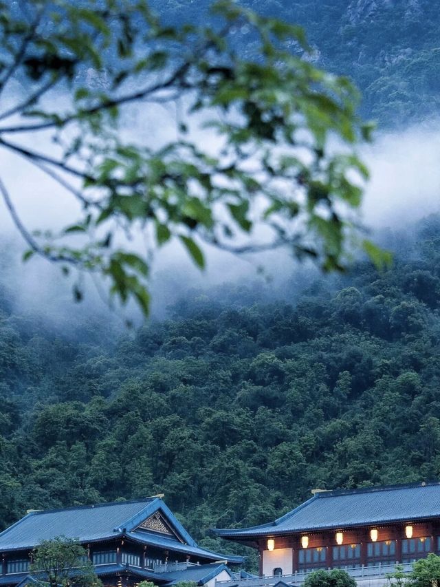 鳳凰山下的溫泉秘境
