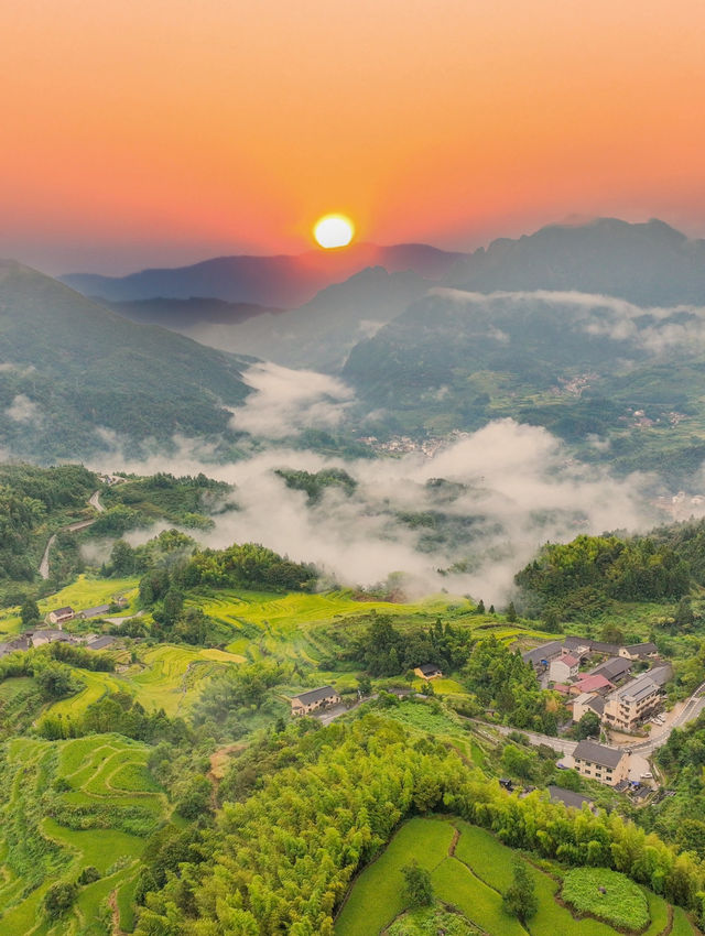 挖到寶了 麗水被低估嘅避世秘境 梯田古村+高鐵直達