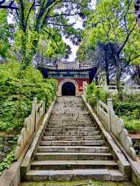 山海交錯的綠蔭時光——聯峰山公園