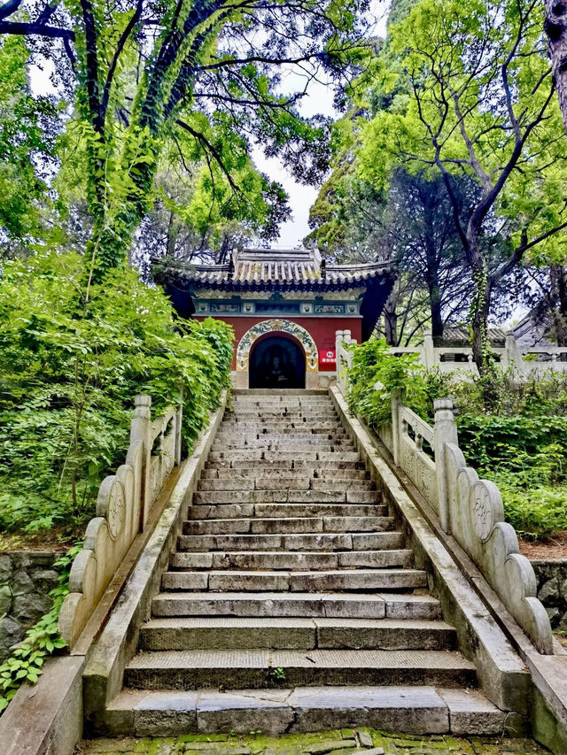 山海交錯的綠蔭時光——聯峰山公園