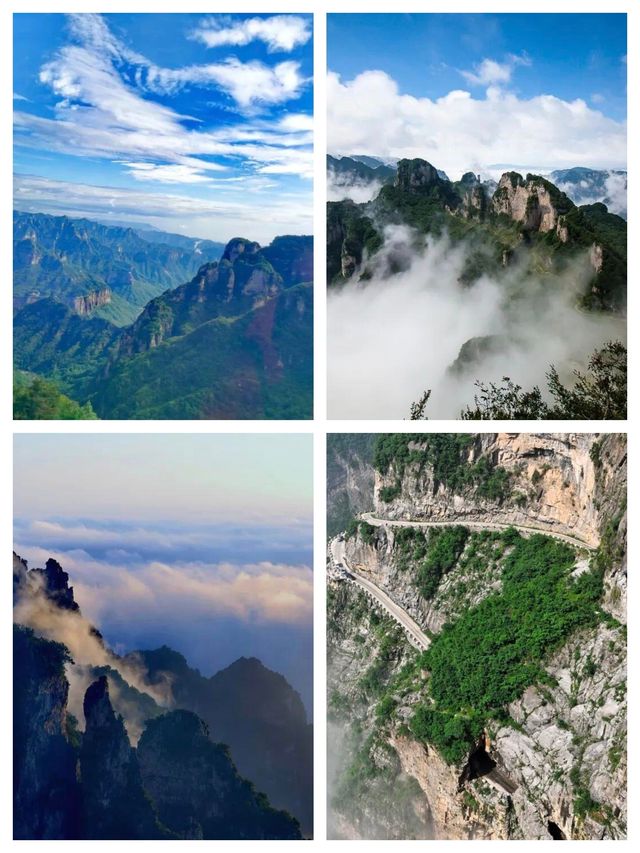 在王莽嶺 邂逅一場雲端的浪漫