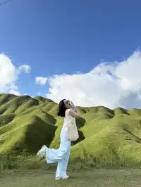 寧德柘榮鴛鴦草場。