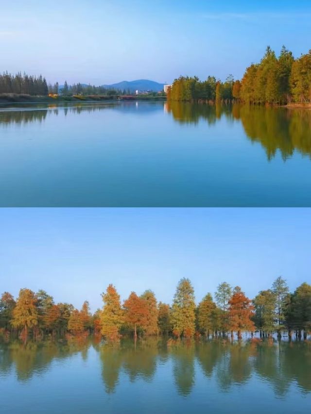 廬江小眾秘境遊 | 2天1夜攻略。