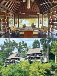 沙巴加雅島奢野秘境~婆羅洲頂級生態度假村攻略