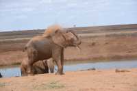 Unforgettable Kenya Adventure with Wildbeest Safaris