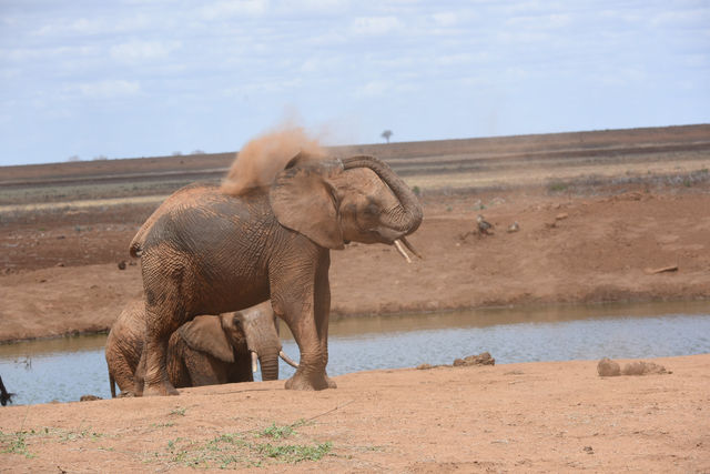 Unforgettable Kenya Adventure with Wildbeest Safaris