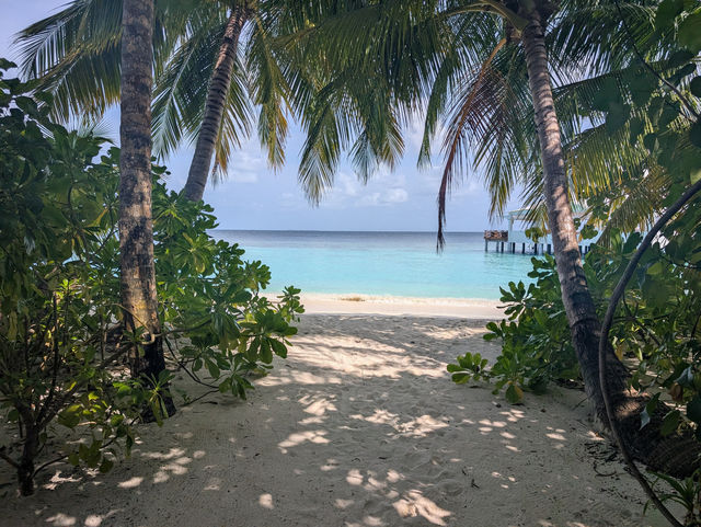 Memorable Stay at Safari Island