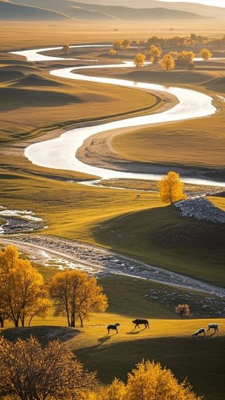 Best Ginkgo Valley Spots in Autumn