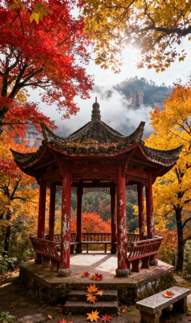 比黃山清靜10倍的道教仙山,秋日限定美到窒息 比黃山清靜10倍的道教仙山,秋日限定美到窒息