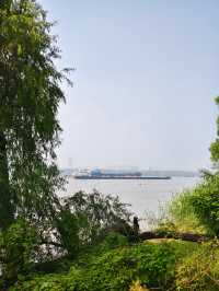 南京江心洲遛娃|真的已經到了next level