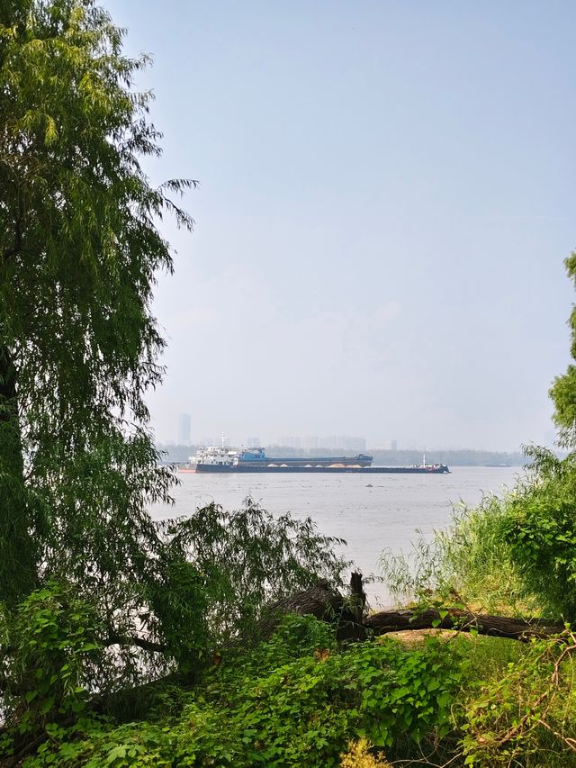 南京江心洲遛娃|真的已經到了next level 南京江心洲遛娃|真的已經到了next level