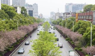 Savoring Loudi’s Cultural Charm, Staying at Hebei Elegant Residence