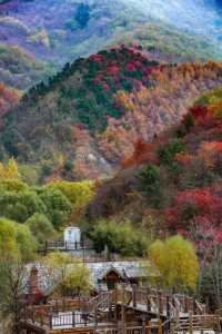 濟南秋日限定浪漫！九如山紅葉氛圍感爆棚