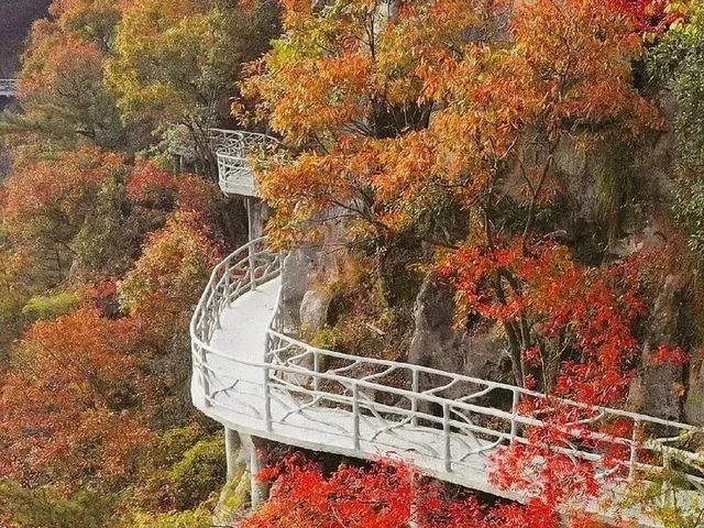 明堂山的風 吹來了整個秋天