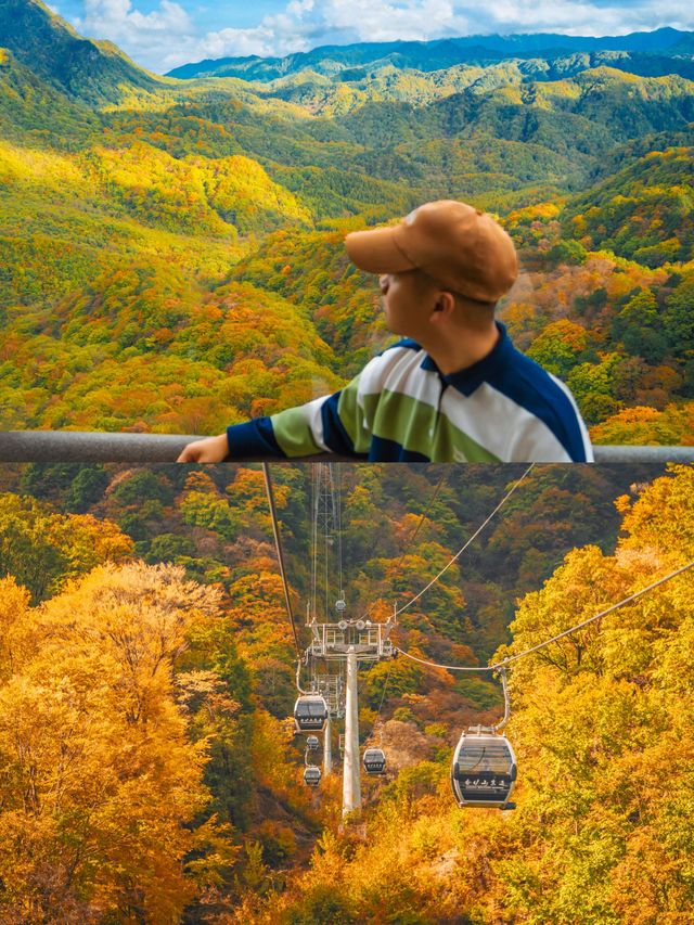 被《國家地理》評為中國最美紅葉秘境，有多絕