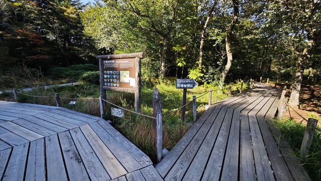 箱根濕生花園 —— 低調、但不可錯過的地方