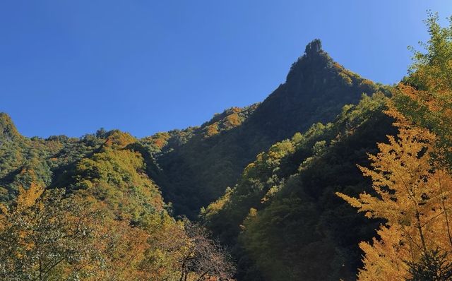 阜平深秋美景解鎖啦｜天生橋的彩林美到失語
