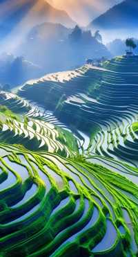 龍脊梯田雲端仙境