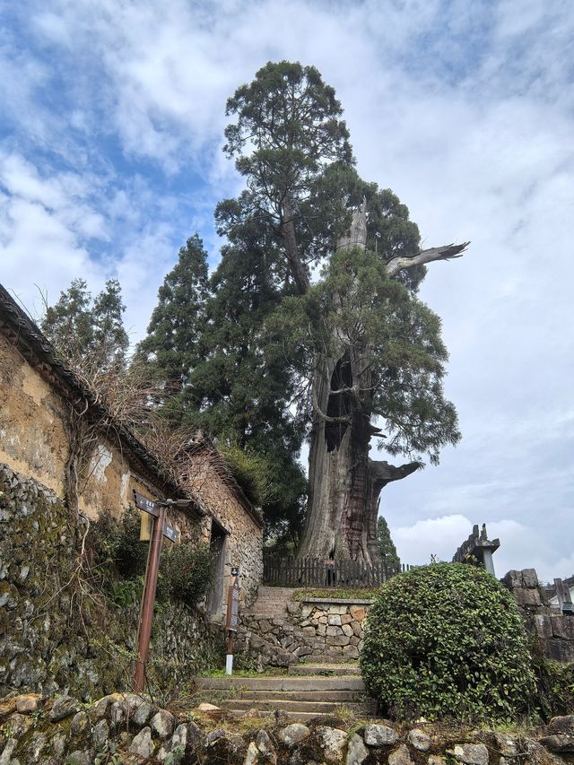 雲中大漈