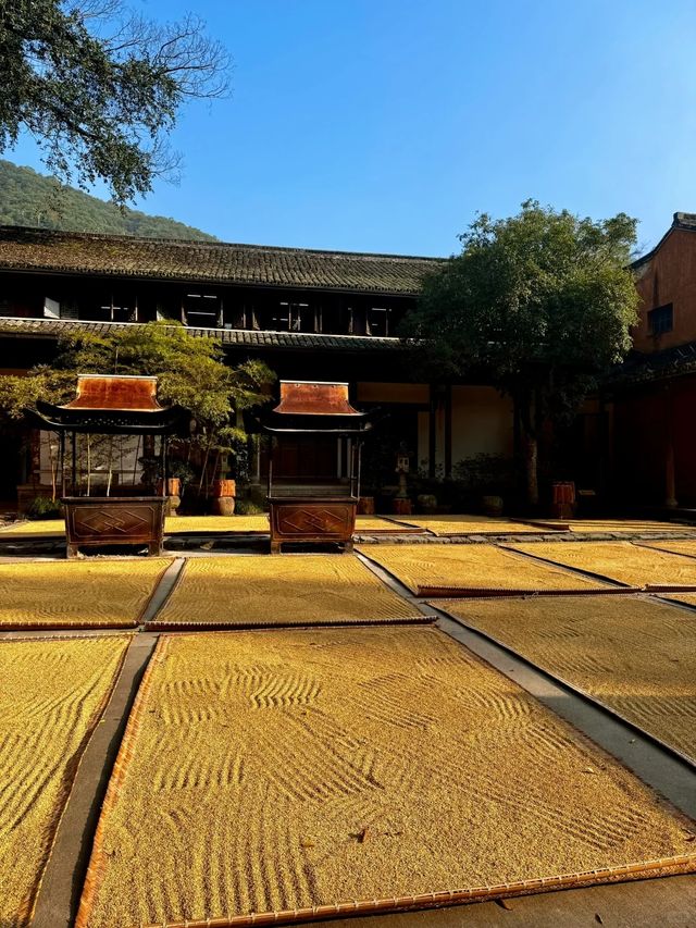 0元解鎖天台秋日封神機位！2天1晚穿越隋塔+瀑布+彩林