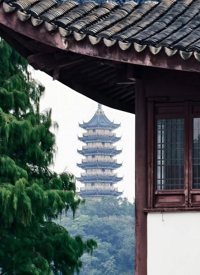 焦山:歷史與自然交織的瑰寶 焦山:歷史與自然交織的瑰寶