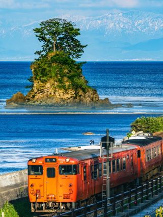 가마쿠라도 이미 충분히 아름다운데! 비하레 해안에 오니 더 놀라워요!