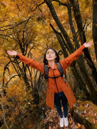 Hanzhong Longtoushan Autumn Viewing Guide: National Geographic didn't lie! This is the autumn wonderland secretly cherished by people from Sichuan and Chongqing. 