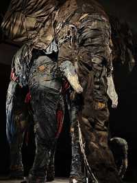 這展也太哇塞了