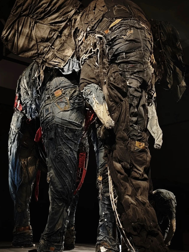 這展也太哇塞了