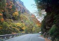 免費小眾景點平武白馬沿途風景--邂逅綠水藍天彩林雪山