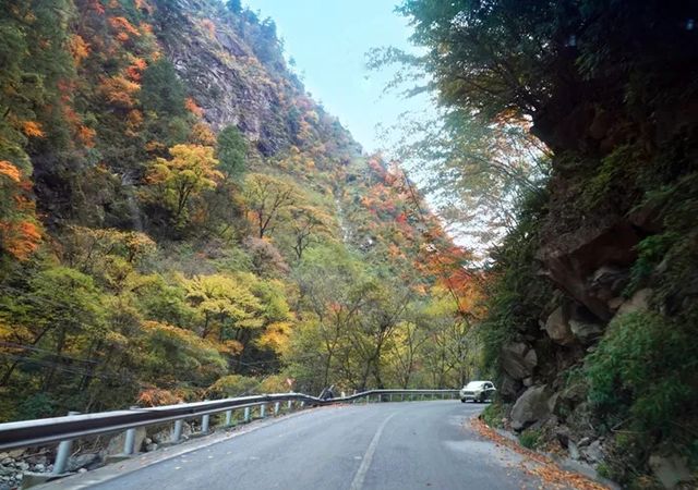 免費小眾景點平武白馬沿途風景--邂逅綠水藍天彩林雪山 免費小眾景點平武白馬沿途風景--邂逅綠水藍天彩林雪山