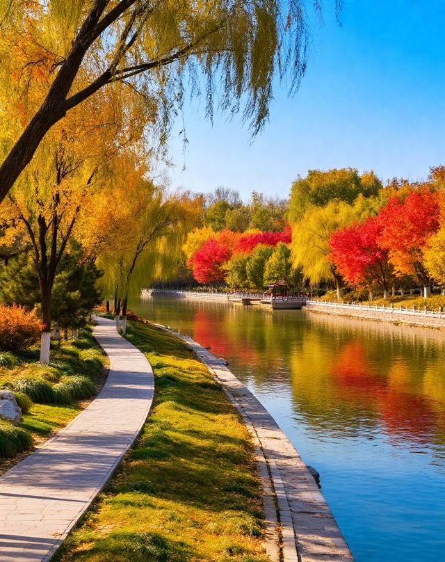 打卡唐風秋韻|邂逅城市邊的詩意與溫柔|收穫滿滿的治癒與快樂