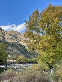 10月川西，赴一場光與金黃的約會