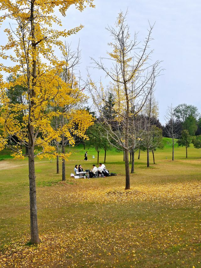 沣河梁家灘,最後的秋色 沣河梁家灘,最後的秋色