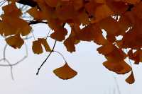 山林古道美如畫