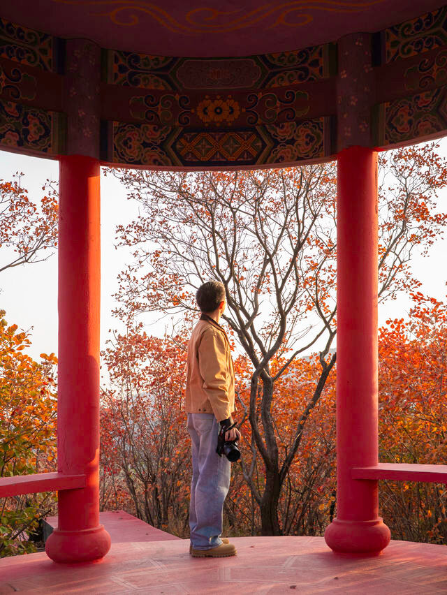 鄭州周邊秋日私藏線!賞千年銀杏,看紅葉漫山 鄭州周邊秋日私藏線!賞千年銀杏,看紅葉漫山