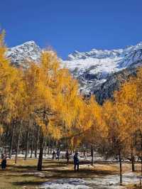 畢棚溝彩林觀賞指南11-12月絕美雪景避坑全攻略