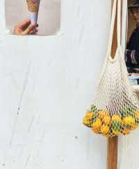 後悔沒早來！嘉興南北湖黃沙坞實現橘子自由