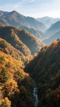 11月的光霧山四天三晚，打卡中國紅葉第一山！